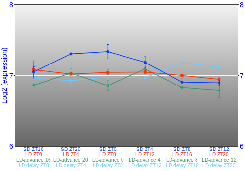 Expression graph