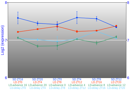 Expression graph