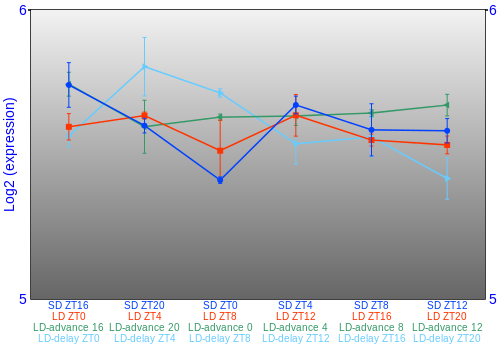 Expression graph