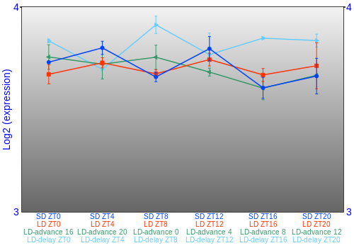 Expression graph