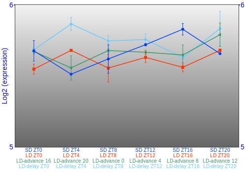 Expression graph