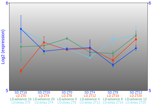 Expression graph