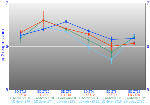 Expression graph