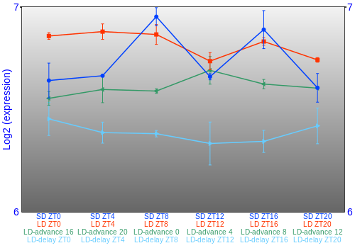 Expression graph
