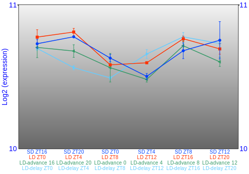 Expression graph