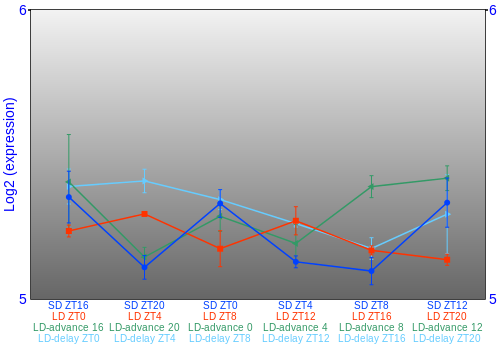 Expression graph
