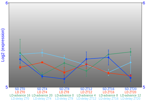Expression graph