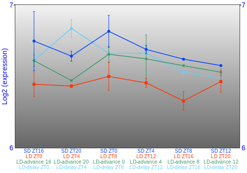 Expression graph