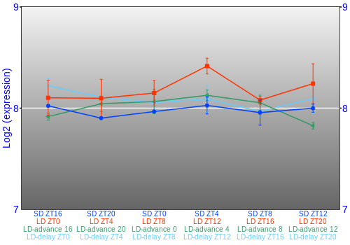 Expression graph