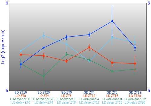 Expression graph