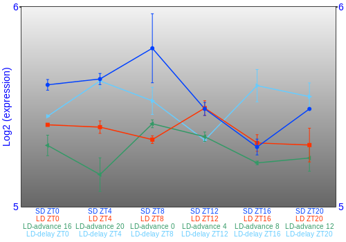 Expression graph