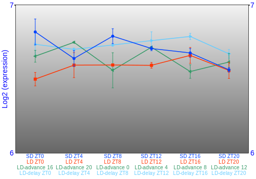 Expression graph