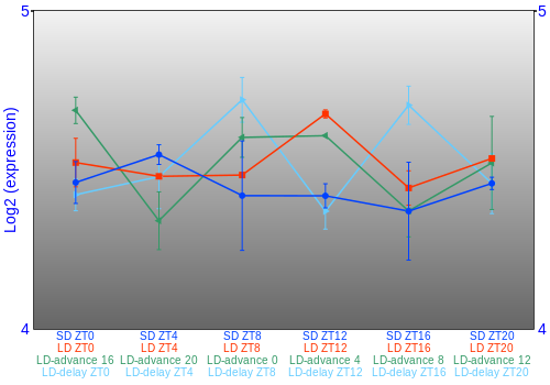 Expression graph