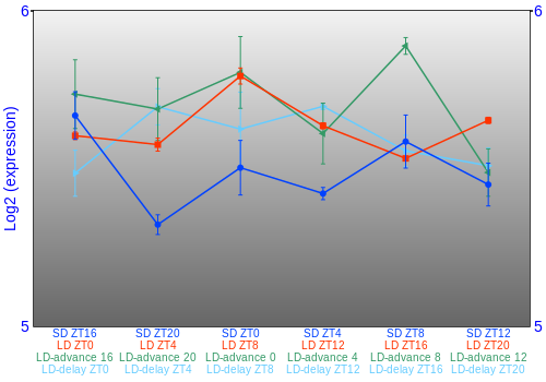Expression graph