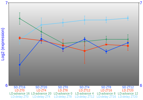 Expression graph