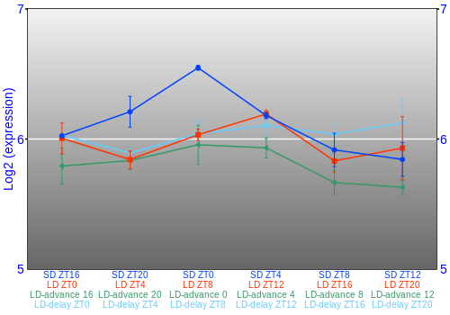 Expression graph