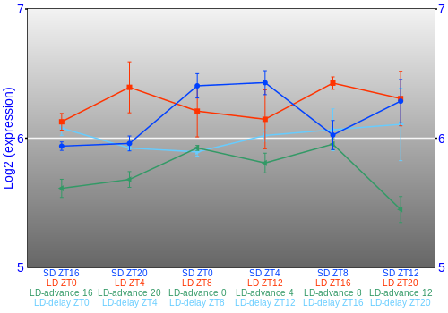 Expression graph