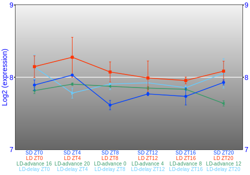 Expression graph