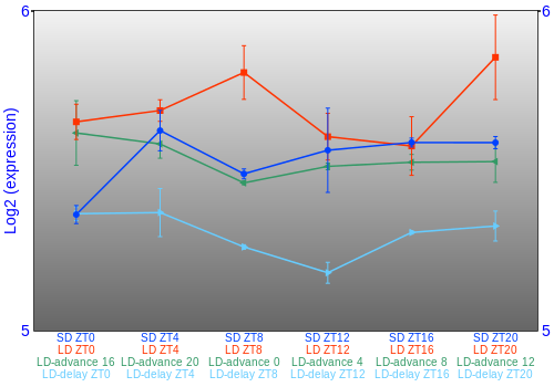 Expression graph