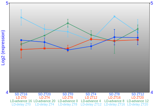 Expression graph