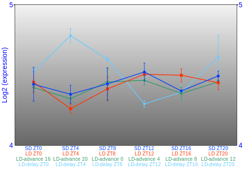 Expression graph