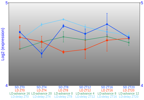 Expression graph