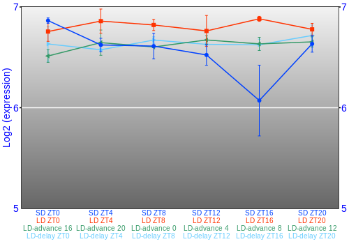 Expression graph