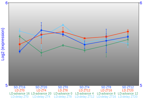 Expression graph