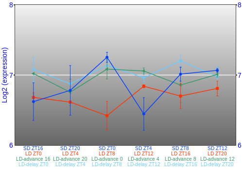 Expression graph