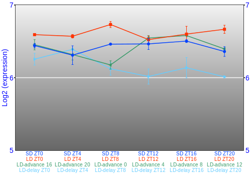 Expression graph