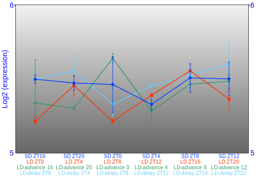 Expression graph