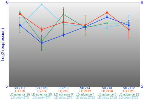 Expression graph