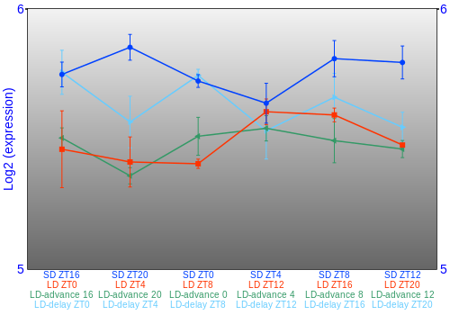 Expression graph