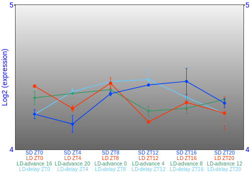 Expression graph