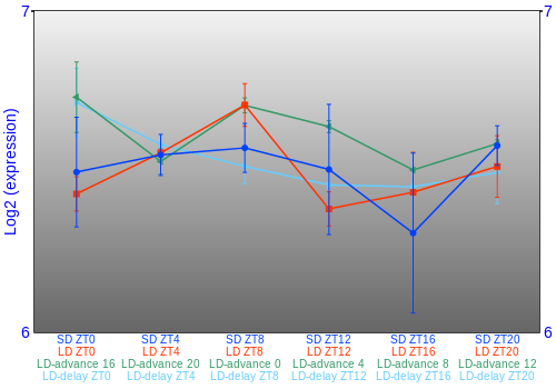 Expression graph