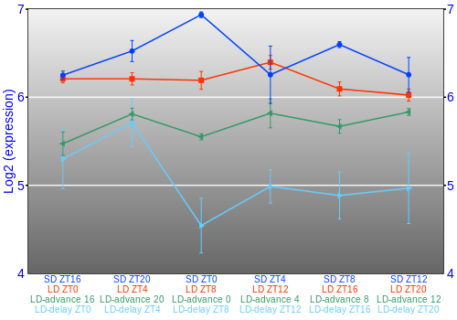 Expression graph