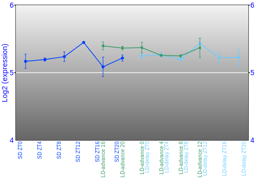 Expression graph