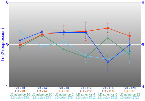 Expression graph