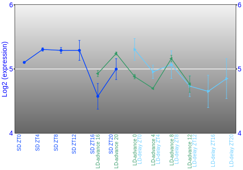 Expression graph