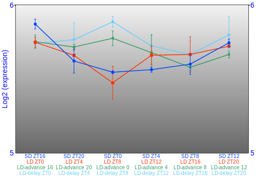 Expression graph