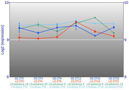 Expression graph