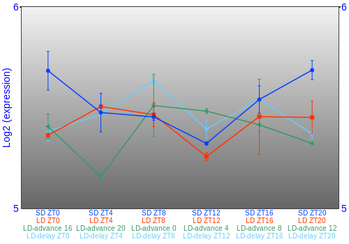 Expression graph