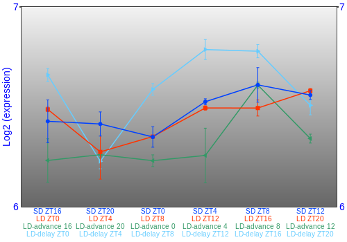 Expression graph