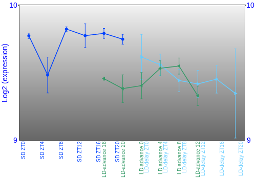 Expression graph