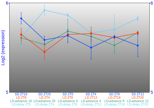 Expression graph