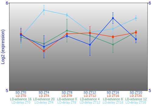 Expression graph