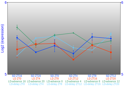 Expression graph
