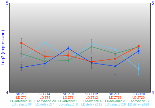 Expression graph
