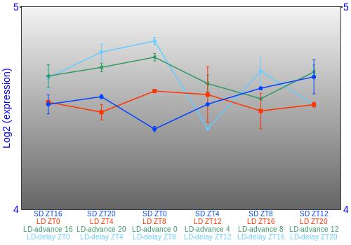 Expression graph