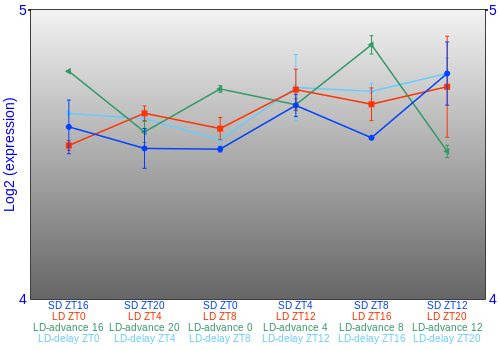 Expression graph